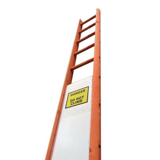 Ladderguard
