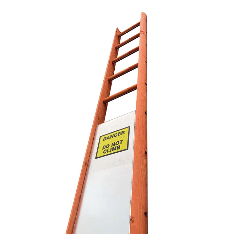 Ladder Guard