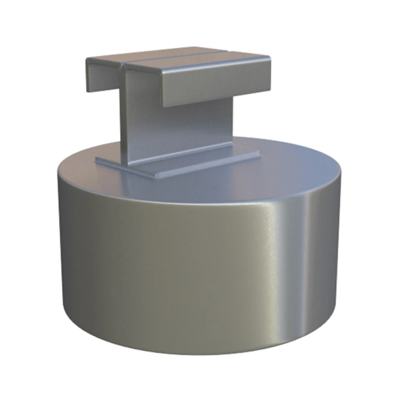 Safeguard 25kg Weight